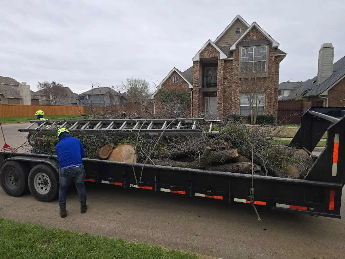 Expert Crown Reduction with proper safety equipment in North Ridgeville